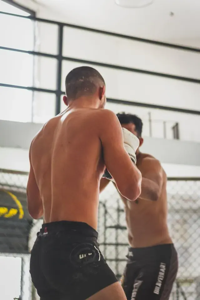 A Fighter's Guide to Climbing the UFC Rankings