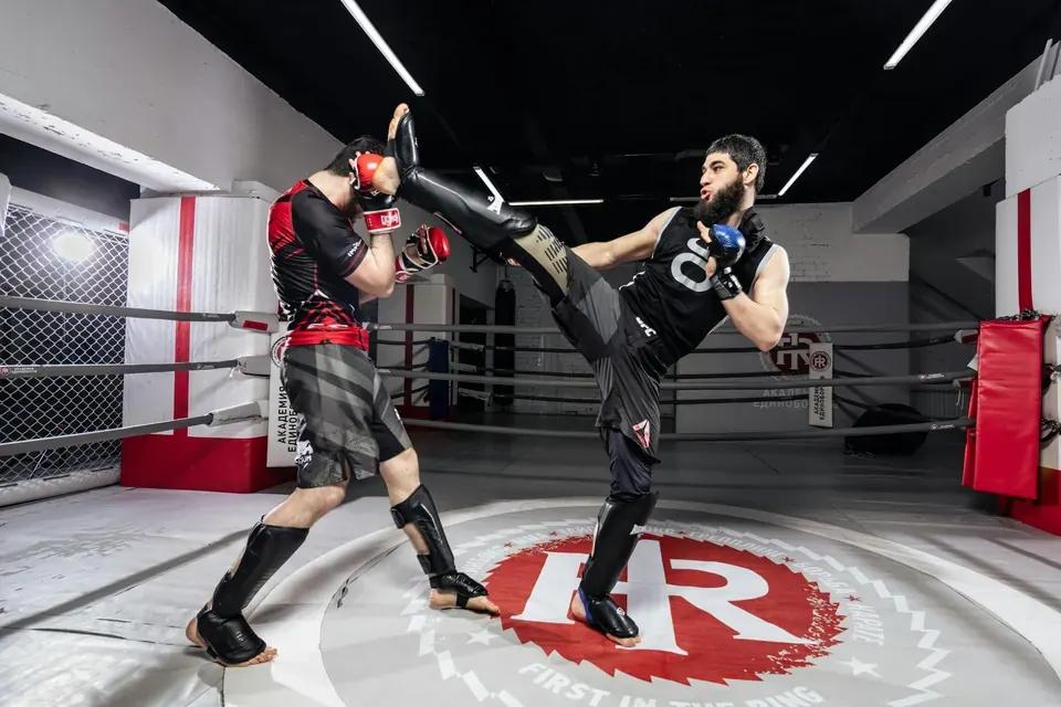 **A Practical Guide to Researching and Profiling Canadian UFC Fighters**