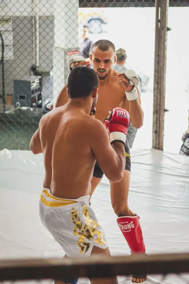 **Biggest UFC Events Held in Canada**