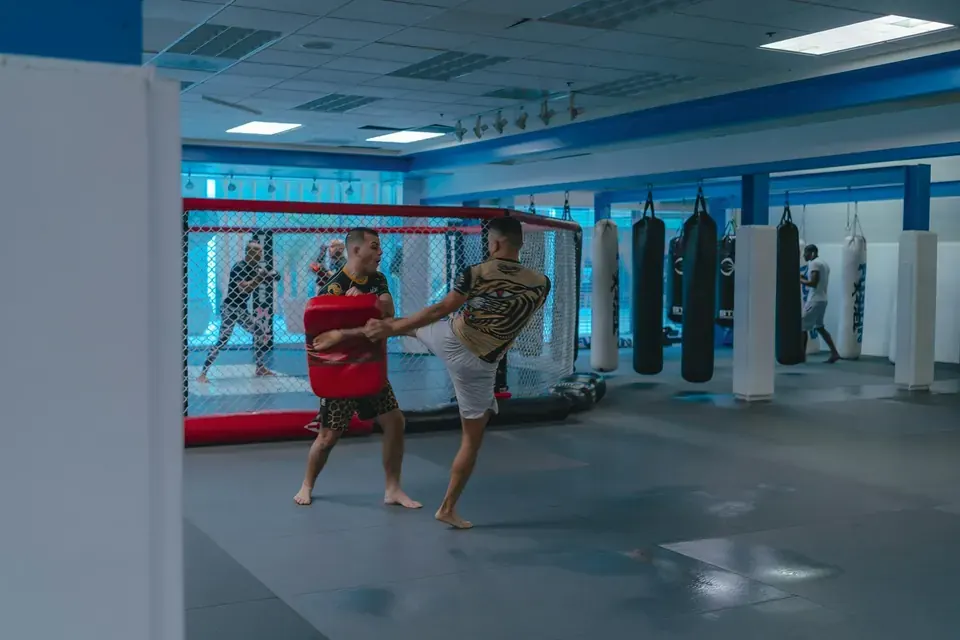 Biggest Wins by Canadian Fighters in UFC History