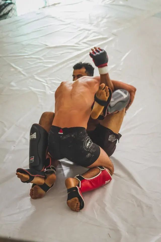 **Canadian Fighters on UFC Fight Island: Events & Results**