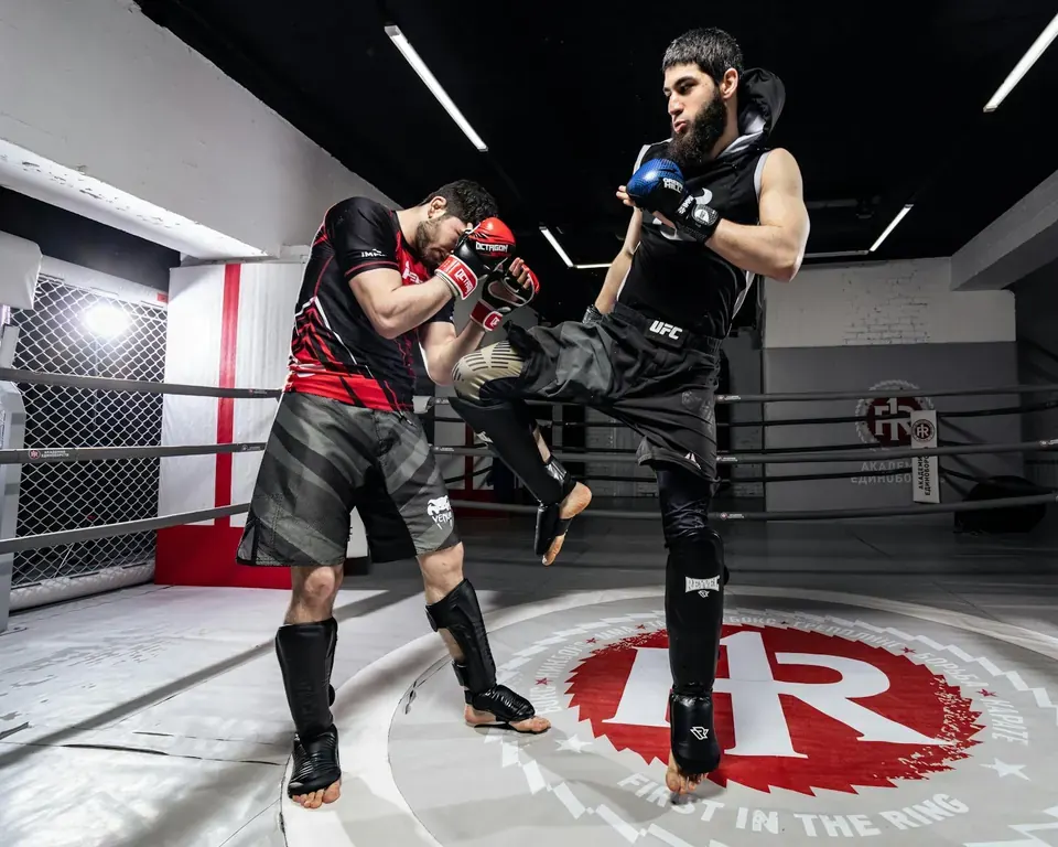 Canadian Fighters Who Transitioned from UFF to UFC
