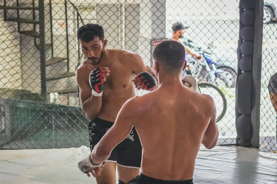 Canadian UFC Fighters Win-Loss Statistics Analysis