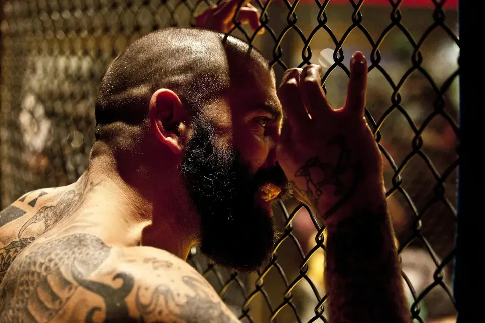 Canadian UFC Fighters with the Most Finishes