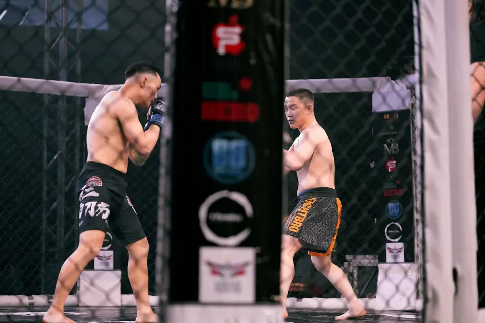 Checklist: Essentials for Attending a UFC Event in Canada