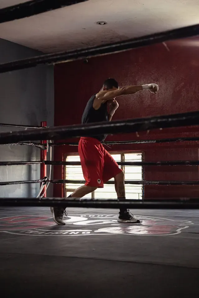 Glossary of UFC Rankings Explained for Canadian Fans