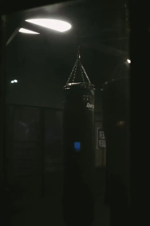 **Guide to Canadian MMA Gyms That Produced UFC Fighters**