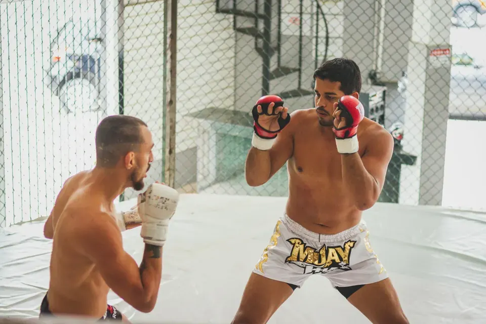 **How to Stay Updated on All UFC Fight News From Canada: A Fan's Checklist**