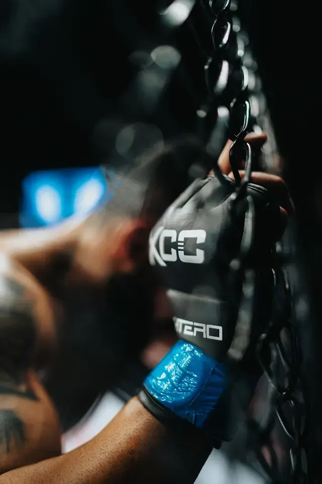 UFC Fight Kit