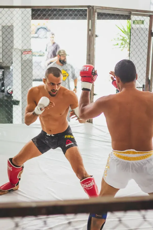 In the Spotlight: Media Coverage & Public Perception of Canadian UFC Fighters