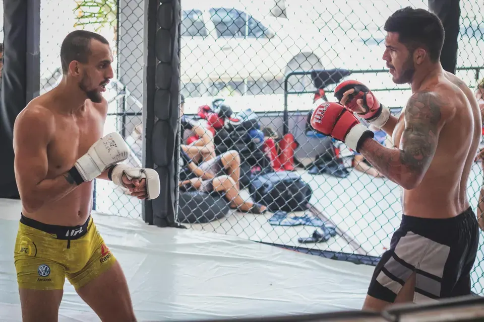 Training, Diet & Nutrition: How UFC Fighters Stay in Peak Condition