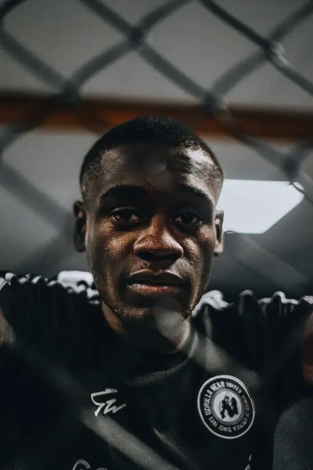 UFC Ranking Voting Panel Explained
