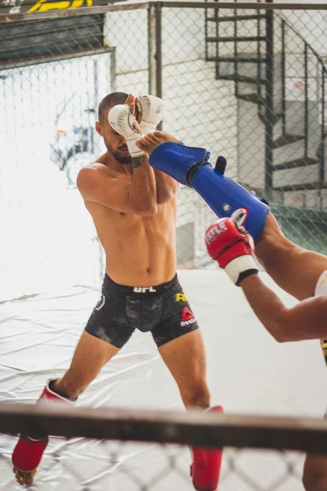 Fan Favorite Canadian UFC Fighters