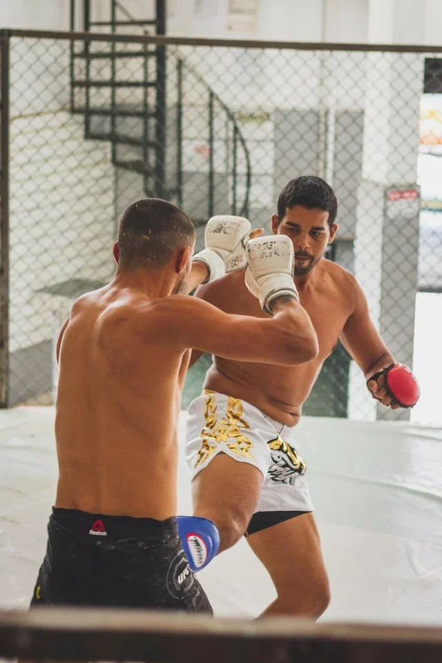 Life After the Octagon: Retirement Transitions of Canadian UFC Fighters