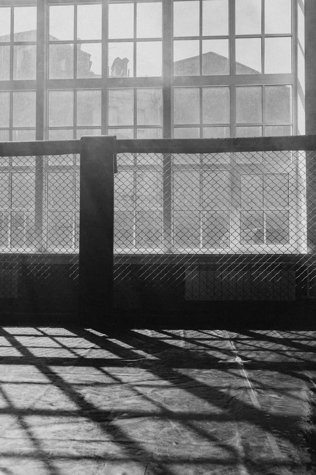 Case Study: A Canadian Fighter's Rankings Comeback