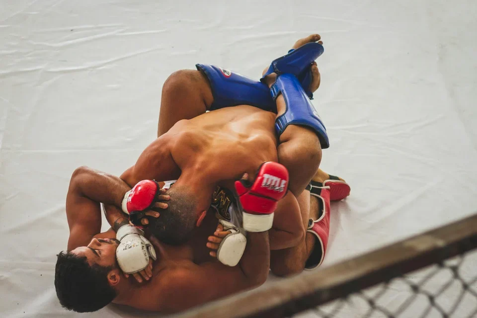 Georges St-Pierre: Career Timeline & Legacy