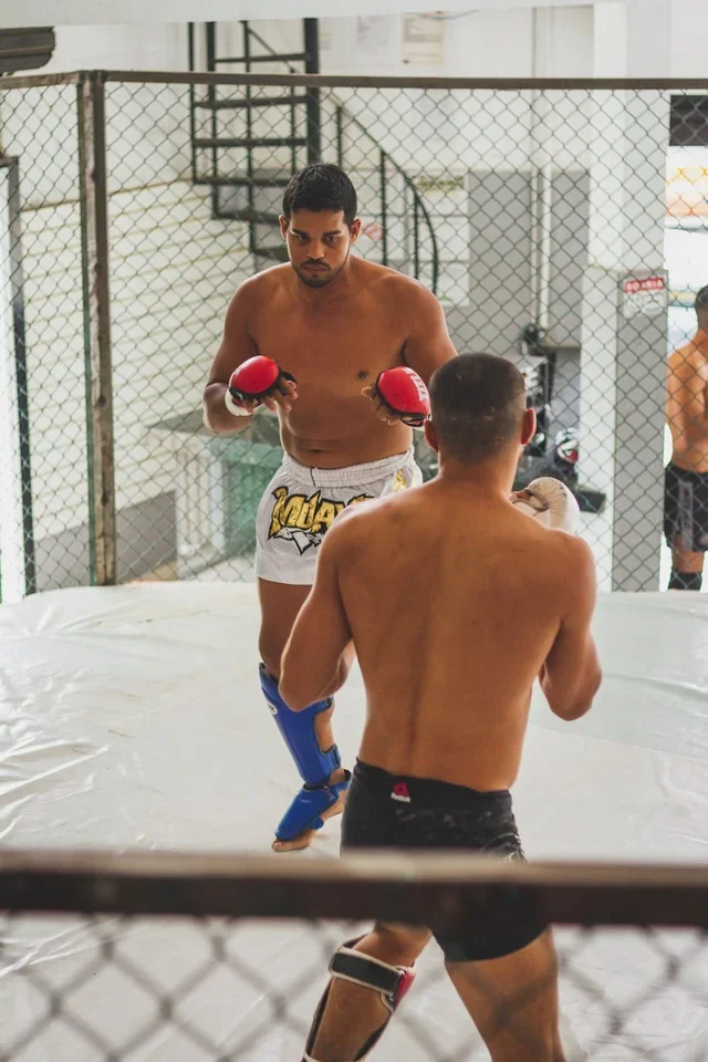 Glossary of UFC Weight Classes for Canadian Fighters